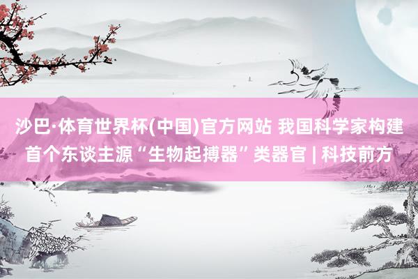 沙巴·体育世界杯(中国)官方网站 我国科学家构建首个东谈主源“生物起搏器”类器官 | 科技前方