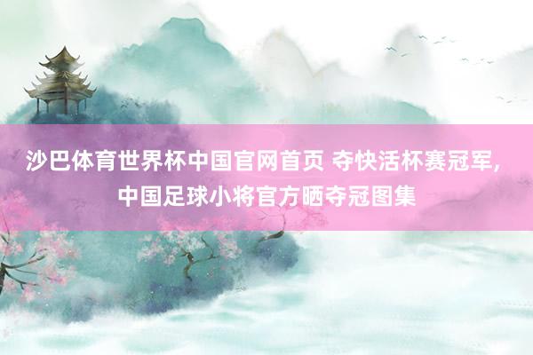沙巴体育世界杯中国官网首页 夺快活杯赛冠军, 中国足球小将官方晒夺冠图集