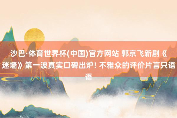 沙巴·体育世界杯(中国)官方网站 郭京飞新剧《迷墙》第一波真实口碑出炉! 不雅众的评价片言只语