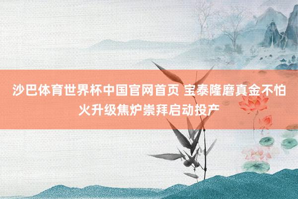 沙巴体育世界杯中国官网首页 宝泰隆磨真金不怕火升级焦炉崇拜启动投产