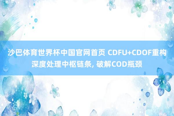 沙巴体育世界杯中国官网首页 CDFU+CDOF重构深度处理中枢链条， 破解COD瓶颈