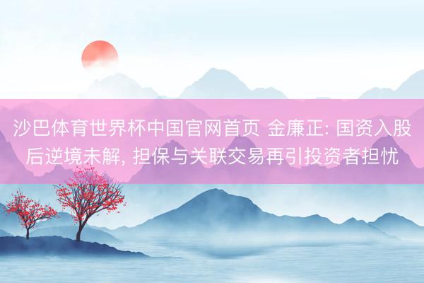 沙巴体育世界杯中国官网首页 金廉正: 国资入股后逆境未解， 担保与关联交易再引投资者担忧